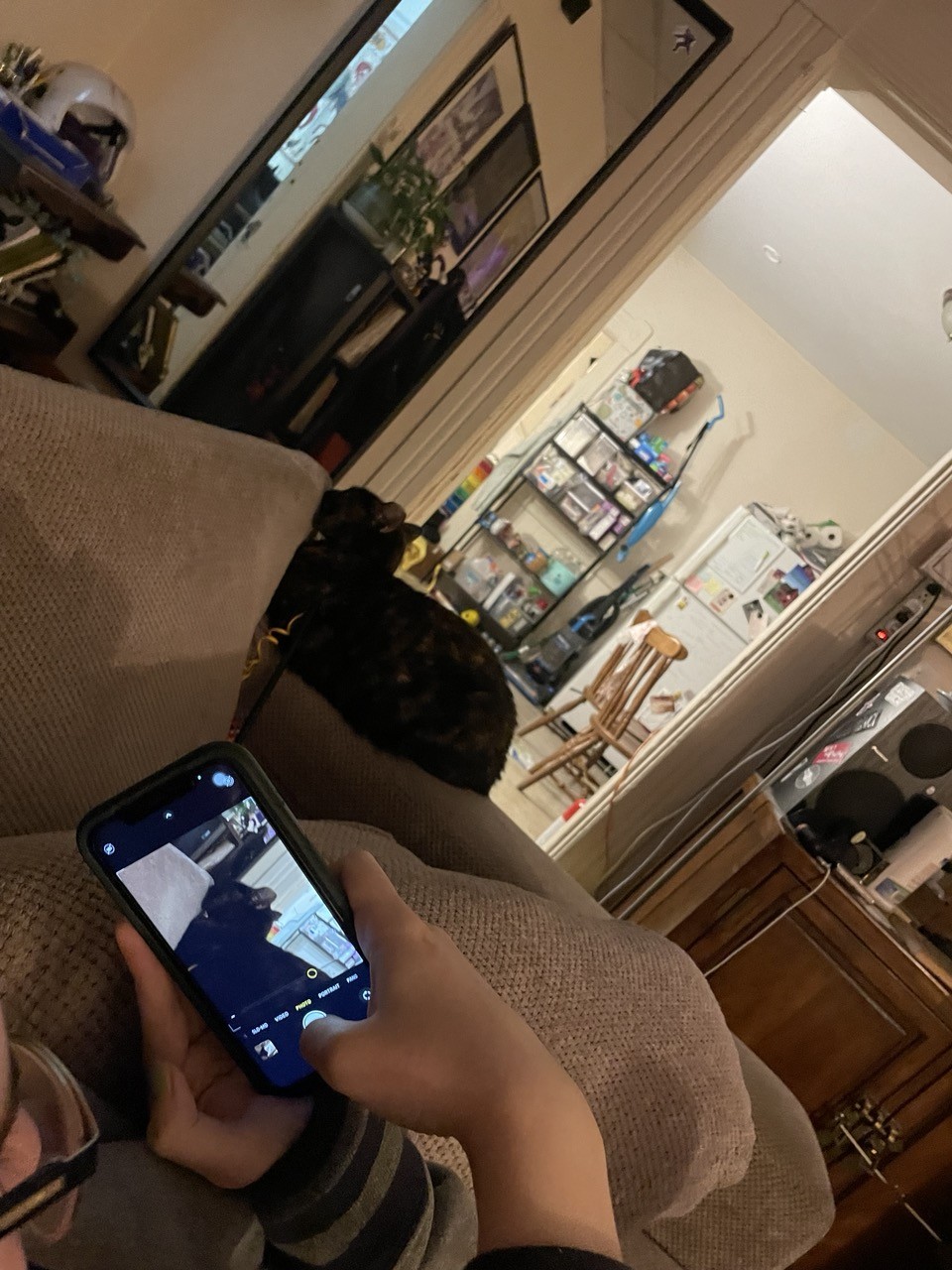 Posted media