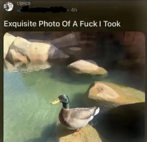 Posted media
