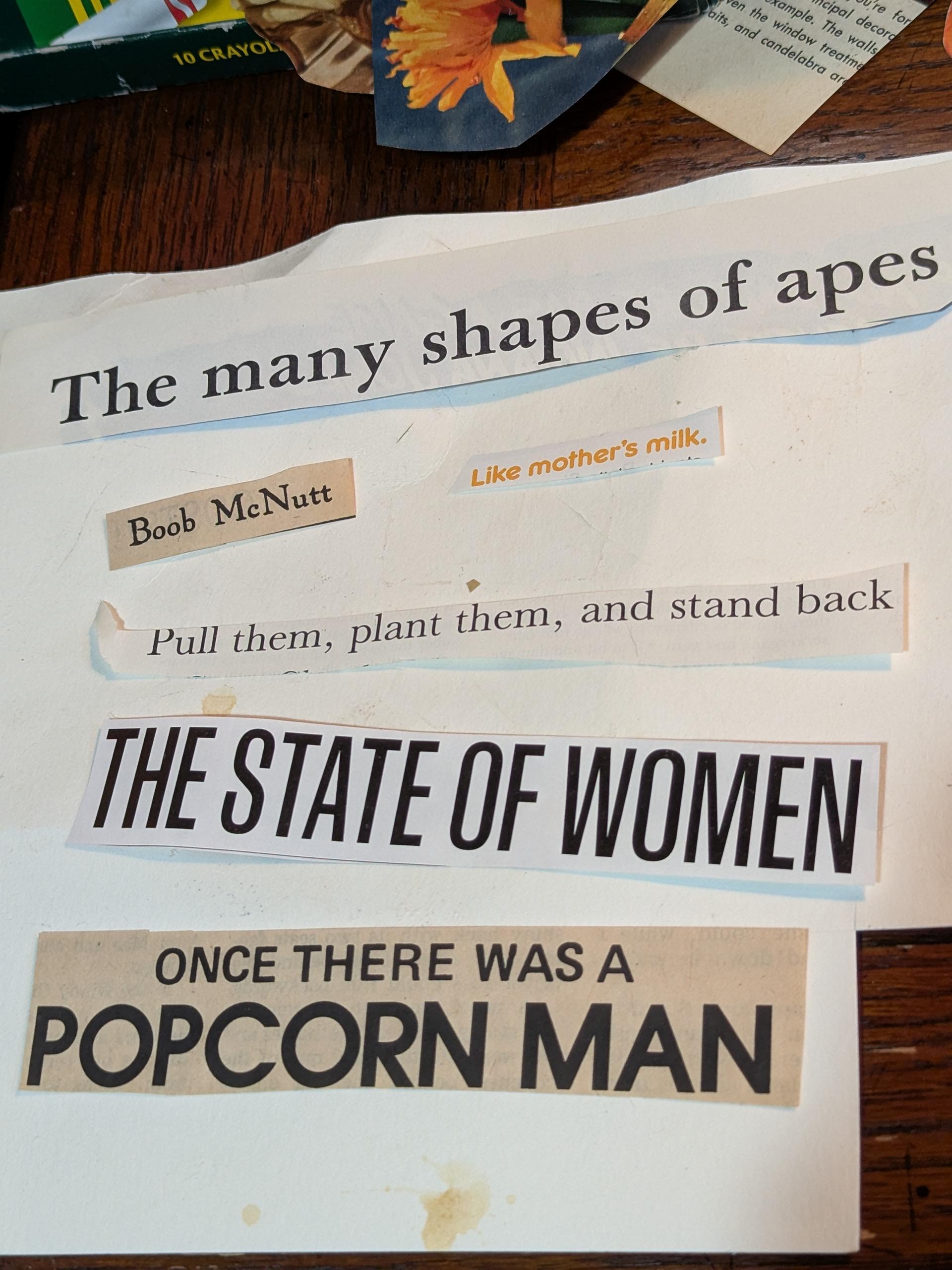 Cut out phrases laid out on my table. They are: The many shapes of apes, Boob McNutt, like mother's milk, pull them, plant them, and stand back, the state of women, once there was a popcorn man